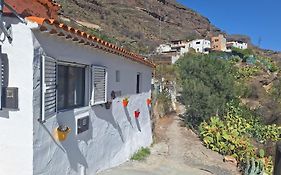 Casa Rural Los Pinares El Juncal De Tejeda