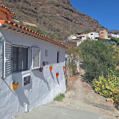 Casa Rural Los Pinares El Juncal De Tejeda Exterior photo