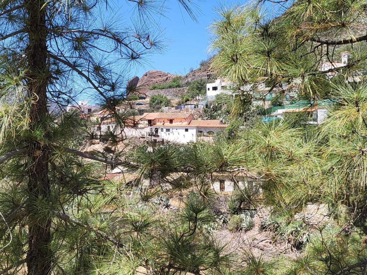 Casa Rural Los Pinares El Juncal De Tejeda Exterior photo