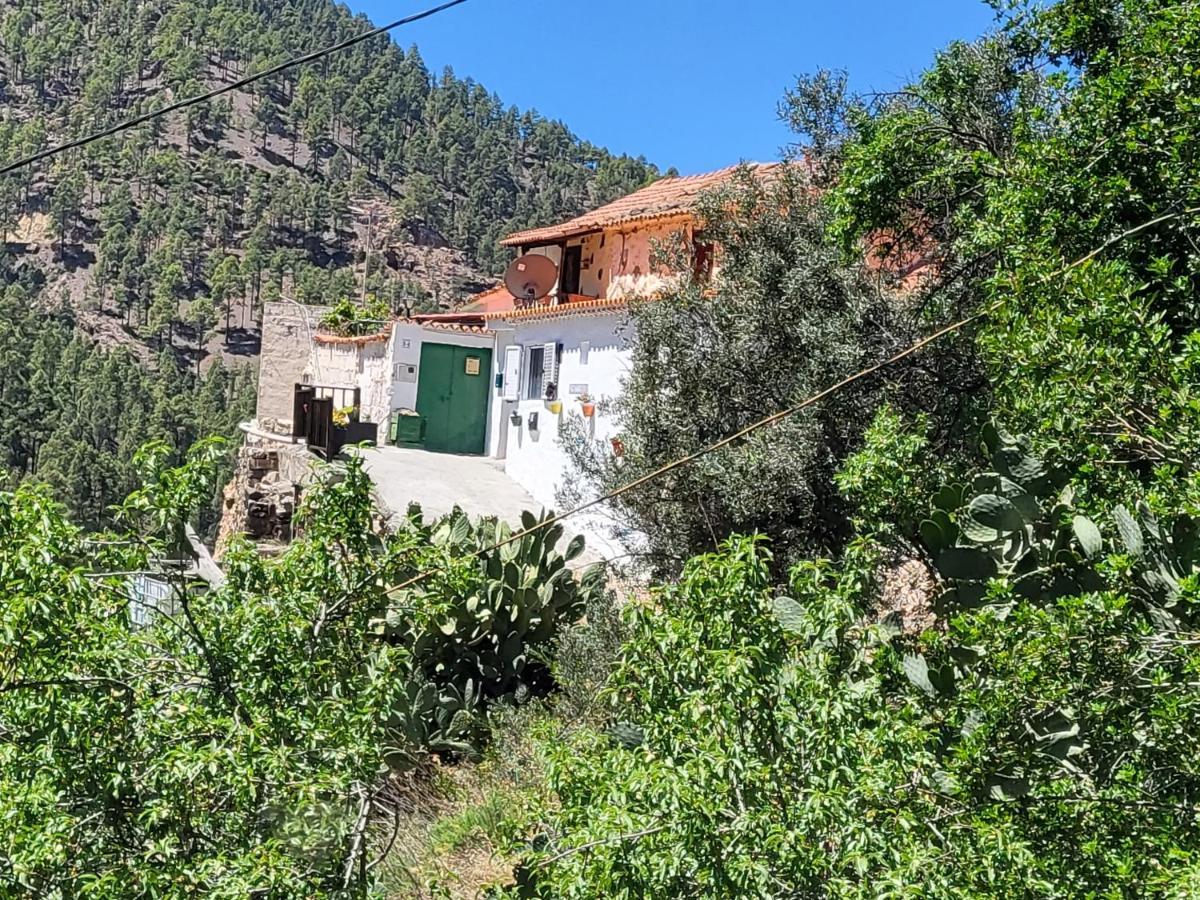 Casa Rural Los Pinares El Juncal De Tejeda Exterior photo