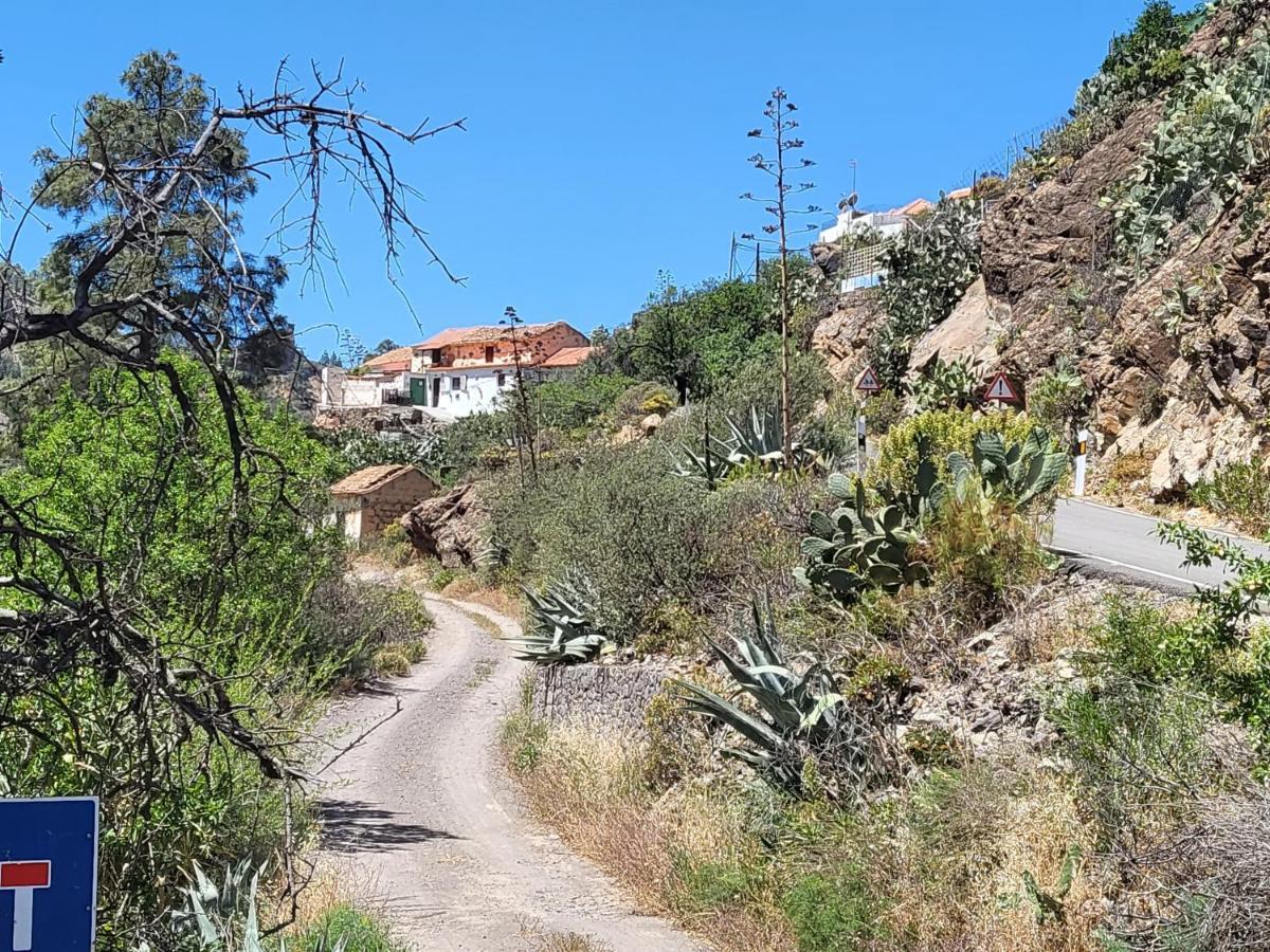 Casa Rural Los Pinares El Juncal De Tejeda Exterior photo